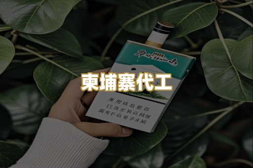 柬埔寨代工